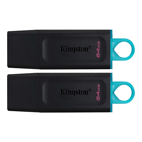 Zwei schwarze USB-Sticks der Marke Kingston mit tÃ¼rkisfarbenen Schlaufen auf weiÃŸem Hintergrund.