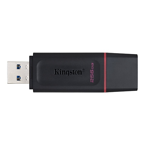 Schwarzer USB-Stick mit 'Kingston'-Logo, roter Linie und '256GB' Schriftzug. USB-Anschluss sichtbar.
