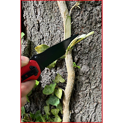 Eine Hand schneidet mit einem Messer einen Ast von einem Baum ab. Kleeblätter und Baumrinde im Hintergrund.
