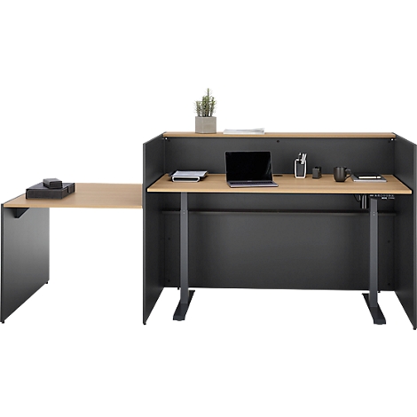 Ein modern eingerichteter Schreibtisch, mit einem Laptop, Büromaterial und Topfpflanze. Der Tisch ist in Holzoptik gehalten.