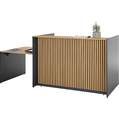 Empfangstresen aus Holz mit vertikalen Lamellen und grauen Seitenwänden. Auf der Theke steht eine Pflanze und Unterlagen.