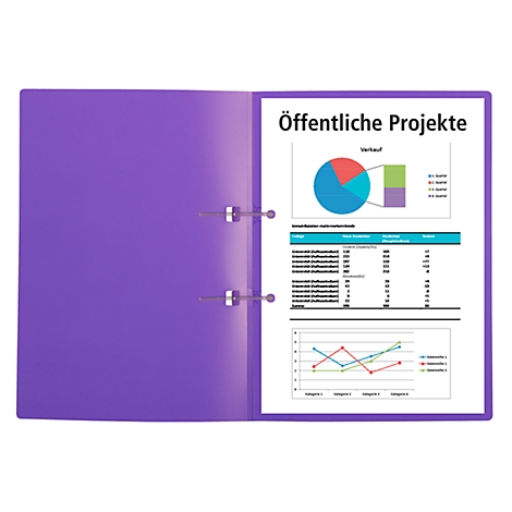 Folder with diagrams and tables. Inscription: Public projects.