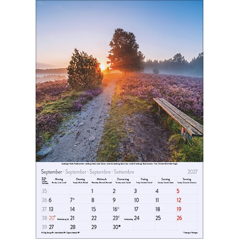 Prise de vue d'un paysage d'un chemin à travers une lande en fleurs au lever du soleil. Un banc en bois et un calendrier bordent le chemin.