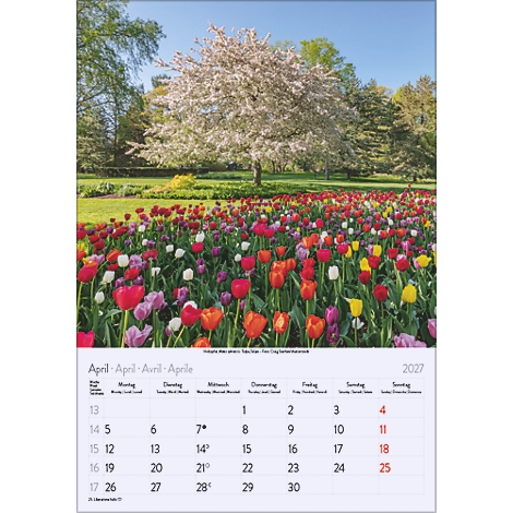 Un calendrier montrant le mois d'avril. En arrière-plan, un champ de fleurs avec des tulipes colorées et un arbre en fleurs.