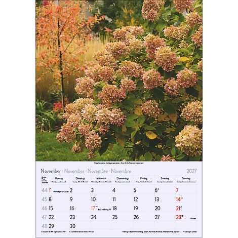 Un calendrier de novembre 2027 avec un gros plan sur des fleurs dans un jardin. Un arbre est visible en arrière-plan.
