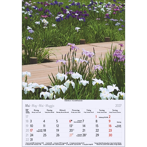 Calendrier de mai 2027 avec prairie fleurie, passerelle en bois et fleurs d'iris de différentes couleurs.