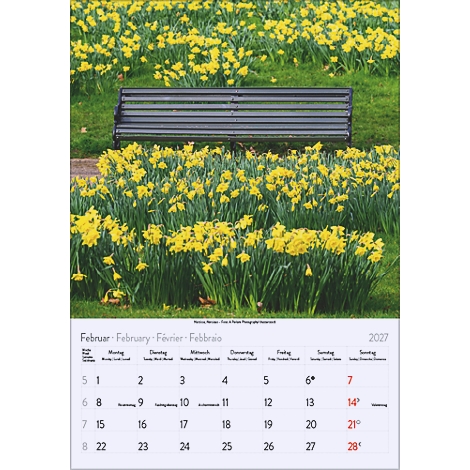 Une page de calendrier pour février 2027 avec un banc de parc entouré de jonquilles jaunes. La date est indiquée en plusieurs langues.