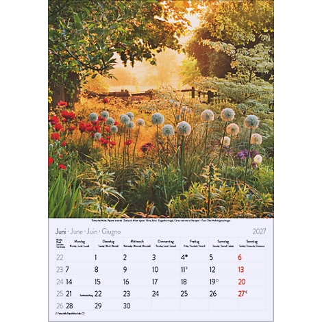 Un jardin en juin, avec des coquelicots rouges et des plantes bulbeuses en fleurs. Un calendrier pour juin 2027 est affiché en bas.