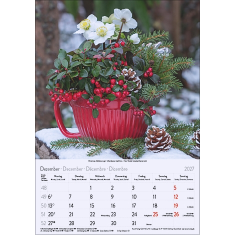 Bol rouge avec décorations de Noël : baies, sapin, fleurs, cônes, posé sur la neige. En bas, calendrier de décembre 2027.