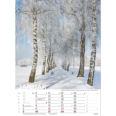 Une allée hivernale avec des arbres couverts de neige dans un calendrier. Le mois de janvier est visible, avec les dates.