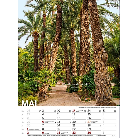 Un chemin à travers une palmeraie, avec un calendrier pour le mois de mai en arrière-plan.