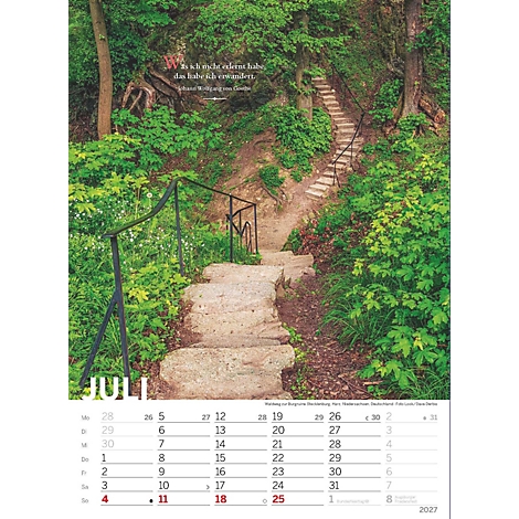 Escalier en pierre dans la forêt, entouré de broussailles vertes. Une citation est visible en haut, et "Juillet" est écrit en dessous avec le calendrier.