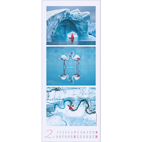 Calendrier mensuel avec trois motifs : iceberg, flamants roses dans l'eau, avion rouge au-dessus de la rivière dans un paysage enneigé. Mois de février.