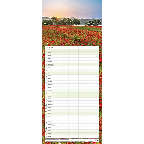 Calendrier avec le mois de mai et un champ de coquelicots rouges en arrière-plan.