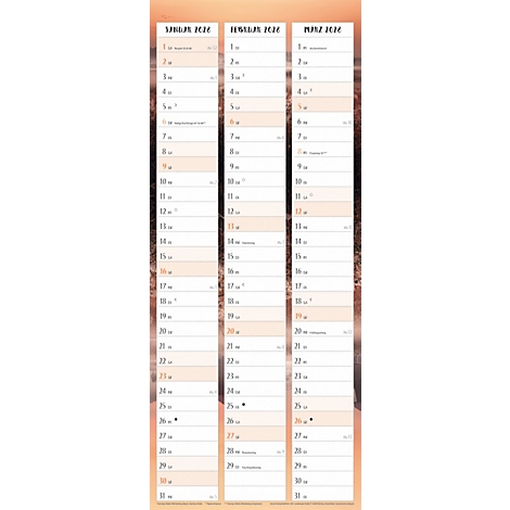 Calendrier avec les mois de janvier, février et mars 2016. Le fond est un paysage flou.