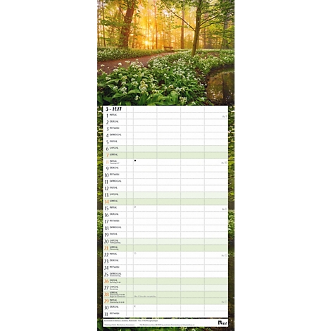 Un calendrier avec un motif forestier. L'arrière-plan montre un sentier forestier avec le soleil, le calendrier est placé en bas.