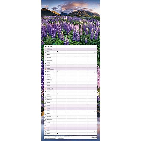 Calendrier avec des lupins violets en arrière-plan, paysage de montagne et lignes de dates.