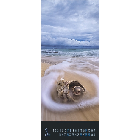 Un caillou en coquillage sur la plage, lavé par une vague tourbillonnante. Des nuages couvrent le ciel, le mois de mars est daté.
