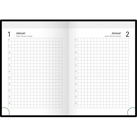 Open double page of a notebook. Checkered grids on the left and right, at the top: January 1, January 2.