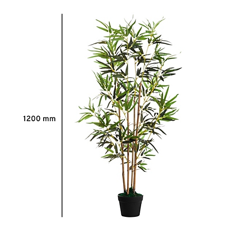 Bambo plant in een pot, 1200 mm hoog. Groene bladeren en bruine stengels. De pot is zwart.