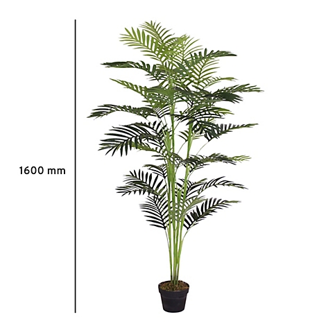 Een hoge kunstpalm in een zwarte pot. Aan de linkerkant bevindt zich een meetlijn met de aanduiding '1600 mm'.