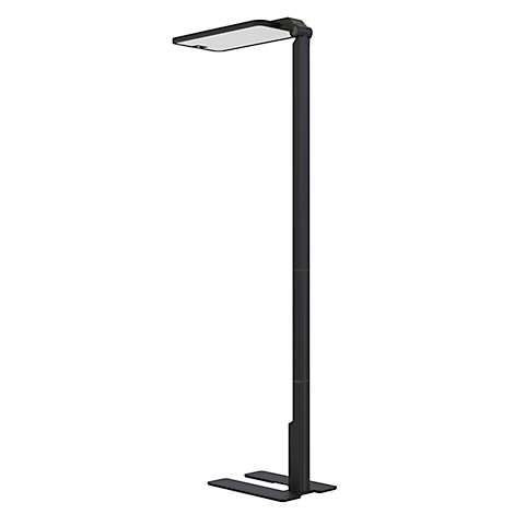 Lampe sur pied noire avec une tête de lumière rectangulaire, sur fond blanc. La base a deux broches.