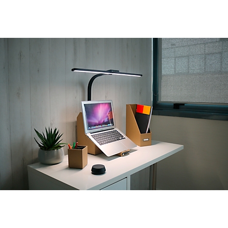 Bureau avec ordinateur portable, lampe et plante. Une lampe de lecture noire éclaire le cahier. À droite une fenêtre, à gauche une plante en pot.
