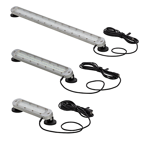 Trois lampes LED avec câbles noirs et ventouses, sur fond blanc.