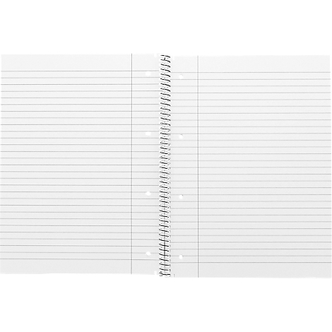 Open spiraalblok met gelinieerde pagina's en zijdelingse perforaties.