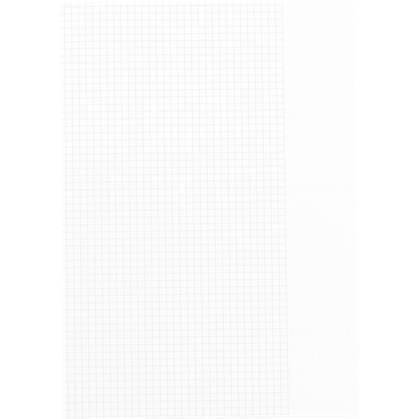 Papier quadrillé blanc. Une grille fine est visible sur le côté gauche, une marge blanche vierge sur le côté droit.