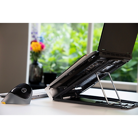 Een laptop staat op een standaard. Daarnaast een ergonomische muis. Op de achtergrond een raam met bloemen in een vaas.