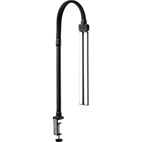 Een zwarte, flexibele bureaulamp met klem en zilveren lampkop. Op een witte achtergrond.