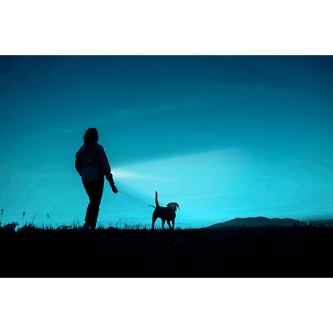 Silhouette of a person walking a dog at night. The bright spotlight of the flashlight illuminates the path.