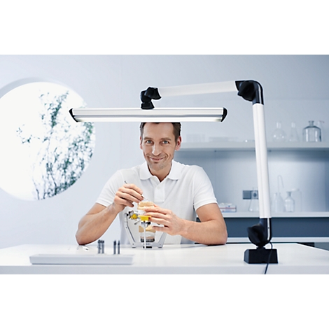 Dentist with a dental model. He smiles at the camera. Above him, a desk lamp.