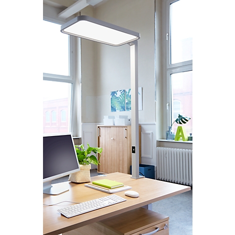 Desk with lamp. Bright, rectangular lamp head. On the desk: computer, plants, notebook. Windows in the background.