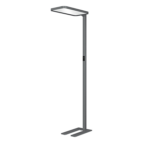 Grijze staande lamp met rechthoekige lichtkop en smalle voet op een witte achtergrond.