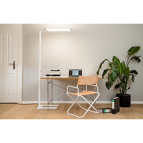 Bureau met laptop, stoel en lamp. Een plant en ordners staan ernaast.