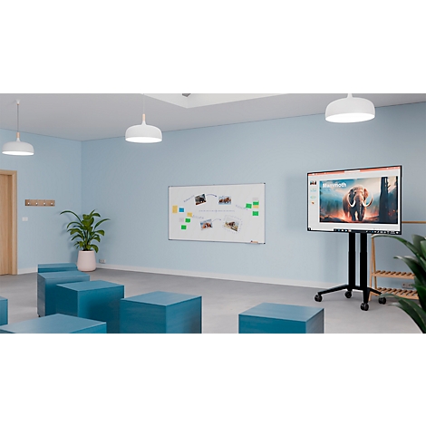 Lichtblauwe kamer met zitkubussen, whiteboard en monitor met olifantenafbeelding. Plafondverlichting.