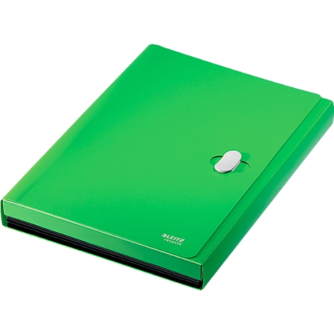 Grüner Ordner mit weißem Verschluss. Das Leitz-Logo ist unten rechts zu sehen.