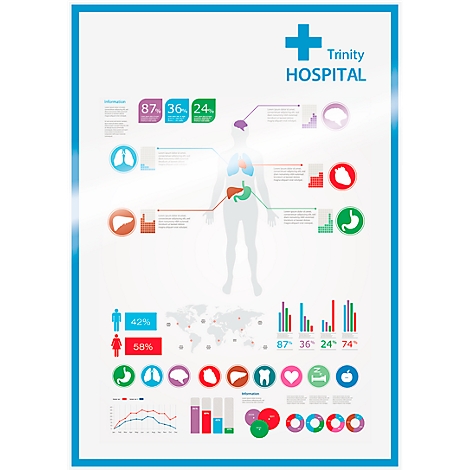 Diagram of human organs and statistics. Top left: percentages. Bottom: charts and symbols. Trinity Hospital logo.