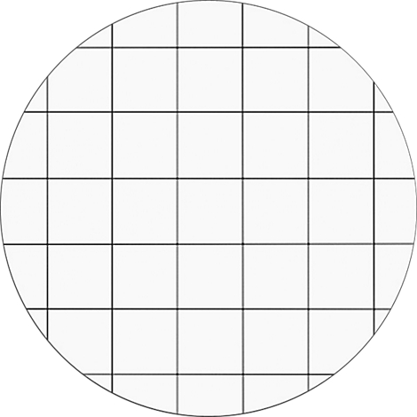 Circular image with a grid pattern. The black lines divide the area into squares.