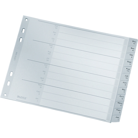 Transparent insert for a planner, with lines and month indications. The Leitz logo is visible.