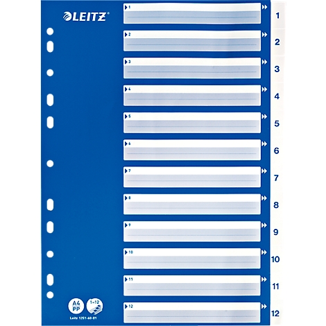 Blue Leitz file divider, with 12 tabs, labeled with numbers. Holes on the left for filing.