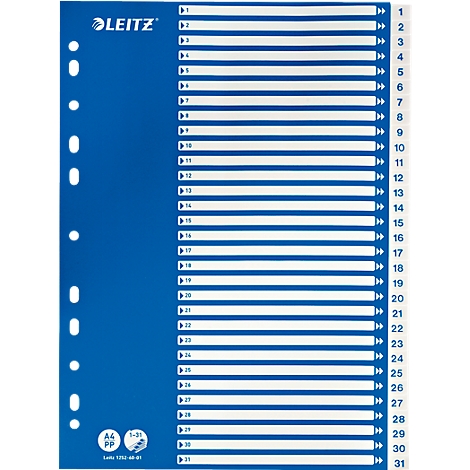A blue index sheet with white horizontal lines and numbers from 1 to 31. The LEITZ logo is at the top left.
