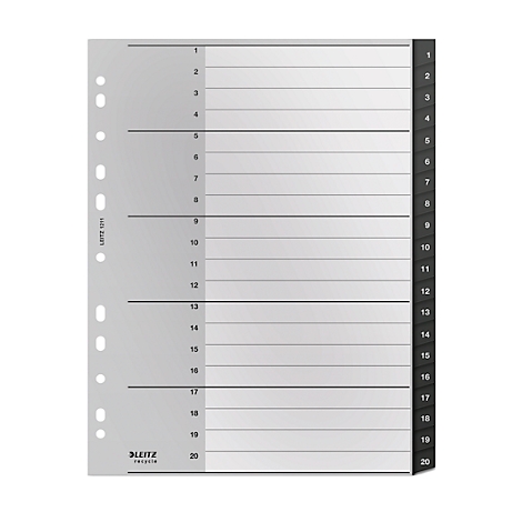 Graues Register mit 20 nummerierten Tabs. Links sind Löcher zum Abheften, rechts schwarze nummerierte Tabs.