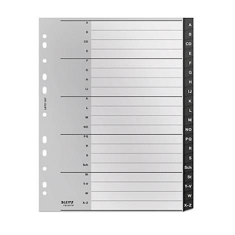 Graue Registerkarte mit alphabetischer Unterteilung für Ordner, mit schwarzen Registereinteilungen. Logo und Lochung vorhanden.