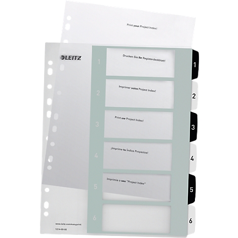 Ordnerregister mit farbigen Reiter und Beschriftungen. Daneben Lochblätter und ein bedrucktes Deckblatt.