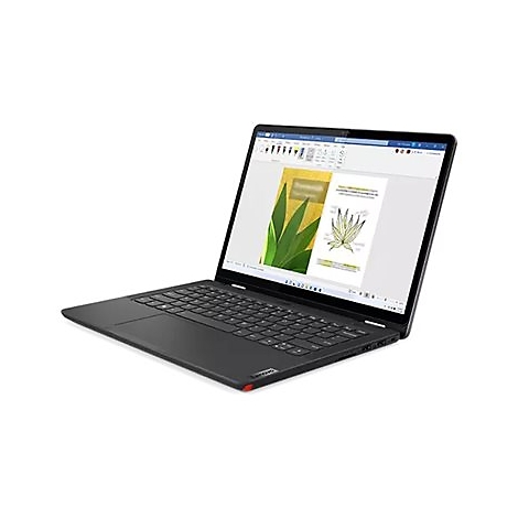 Schwarzer Laptop mit geöffnetem Bildschirm, auf dem eine Pflanzenillustration zu sehen ist. Das Lenovo-Logo ist unten rechts.