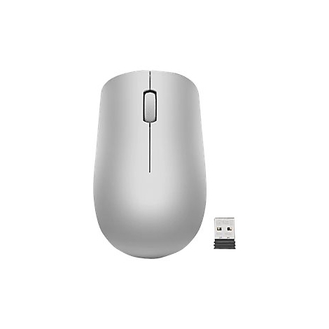 Eine minimalistische, silberne kabellose Maus mit kleinem USB-Empfänger auf weißem Grund.
