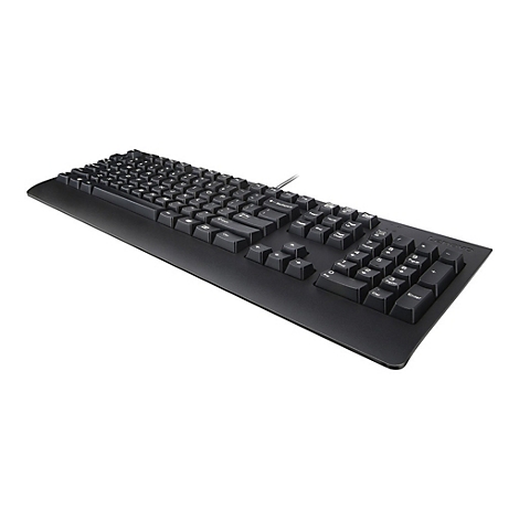 Schwarze, kabelgebundene Lenovo-Tastatur in Perspektive auf weißem Hintergrund.